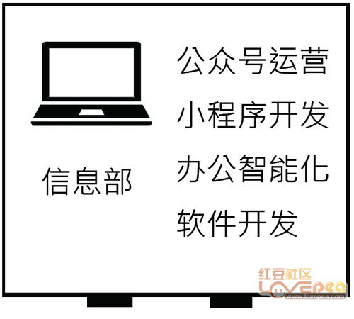 公众号 小程序开发 柳州卓信文化传播有限公司